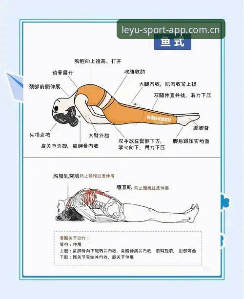 揭秘乐鱼体育使用教程背后的真相：从入门到精通的完整指南
